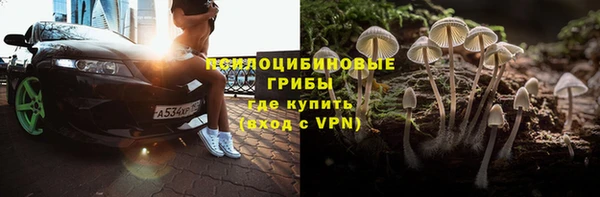 шишки Бугульма