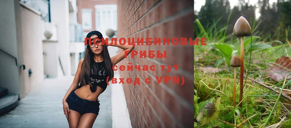 Альфа ПВП Бронницы