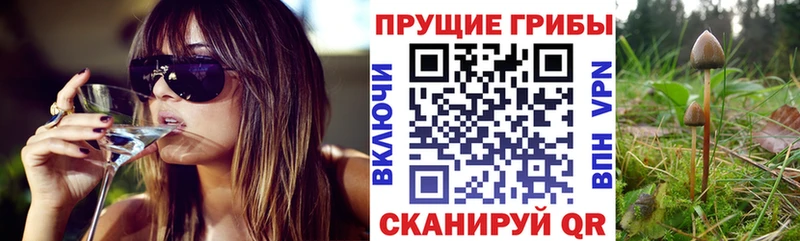 Галлюциногенные грибы мицелий  Электрогорск 
