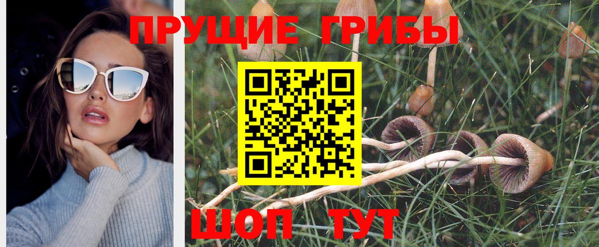 Электрогорск  хочу   Галлюциногенные грибы Magic Shrooms  Вход с VPN  Галлюциногенные грибы прущие грибы 